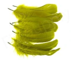 Goose Shoulder -Fishing Specialty Store Goose shoulder 40 57XXX olive set