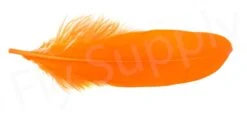 Goose Shoulder -Fishing Specialty Store Goose shoulder 40 57XXX orange
