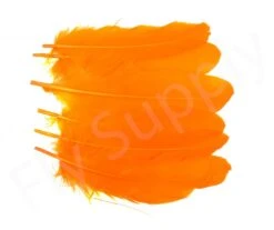 Goose Shoulder -Fishing Specialty Store Goose shoulder 40 57XXX orange set