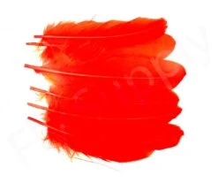 Goose Shoulder -Fishing Specialty Store Goose shoulder 40 57XXX red set
