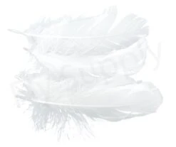 Goose Shoulder -Fishing Specialty Store Goose shoulder 40 57XXX white