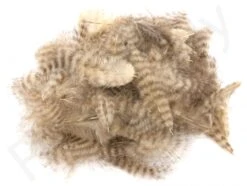 Grizzly Marabou -Fishing Specialty Store Grizzly marabou 40 62XXX dsc01709