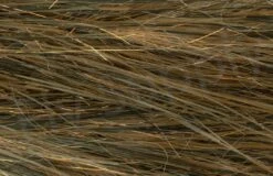 H2O Translucy Brush 5 Inch -Fishing Specialty Store H2O Translucy Brush 5 Inch H2O TRBR5INCH X dsc05607 wm