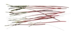 Hand Stripped Peacock Quills -Fishing Specialty Store Hand Stripped Peacock Quills FSTYING POLQUIL X crimson