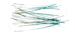 Hand Stripped Peacock Quills -Fishing Specialty Store Hand Stripped Peacock Quills FSTYING POLQUIL X turqoise