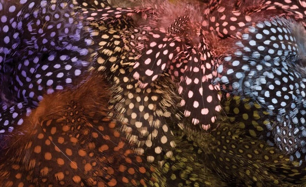 Hareline Guinea Strung Feathers 3 Hareline Guinea Strung Feathers