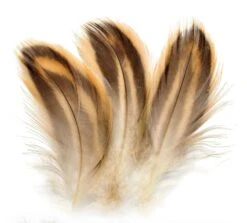Mallard Hen Breast Feathers Natural