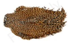 Indian Cock Necks Grade AA Natural -Fishing Specialty Store Indian Cock necks grade AA natural 40 284XX dsc09366 bewerkt