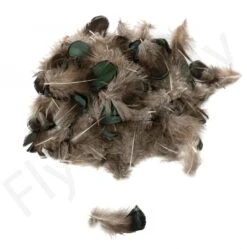 Lady Amherst Pheasant Body Feathers 3gr -Fishing Specialty Store Lady Amherst Pheasant Body Feathers 3gr 59387 XX dsc02568 bewerkt