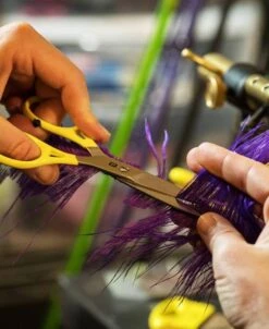 Loon Ergo Prime Scissors -Fishing Specialty Store Loon Ergo Prime Scissors PRIMESCIS XXX dealerweb cms 6f5a31c1 b6ef 44bb ba2c a5e00b9336f7