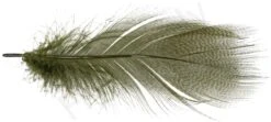 Mallard Barred Flank Large Select Feathers 12pc -Fishing Specialty Store Mallard Barred Flank Large Select Feathers 12pc MBS XXX dsc04843 bewerkt