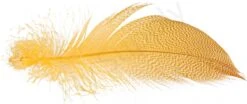Mallard Barred Flank Large Select Feathers 12pc -Fishing Specialty Store Mallard Barred Flank Large Select Feathers 12pc MBS XXX dsc04849 bewerkt