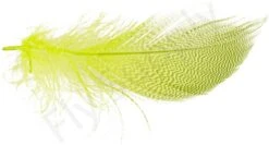 Mallard Barred Flank Large Select Feathers 12pc -Fishing Specialty Store Mallard Barred Flank Large Select Feathers 12pc MBS XXX dsc04851 bewerkt