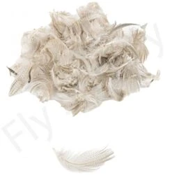 Mallard Flank -Fishing Specialty Store Mallard flank 40 92XXX dsc09448 bewerkt