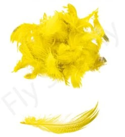 Mallard Flank -Fishing Specialty Store Mallard flank 40 92XXX dsc09449 bewerkt