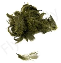 Mallard Flank -Fishing Specialty Store Mallard flank 40 92XXX dsc09450 bewerkt bewerkt