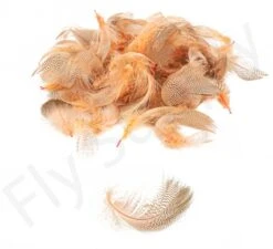 Mallard Flank -Fishing Specialty Store Mallard flank 40 92XXX dsc09453 bewerkt