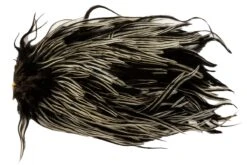 Metz Magnum Saddle #1 -Fishing Specialty Store Metz Magnum Saddle 1 METZ MG1 X dsc06663 bewerkt