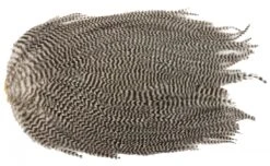 Metz Magnum Saddle #2 -Fishing Specialty Store Metz Magnum Saddle 2 METZ MG2 X dsc06683 bewerkt