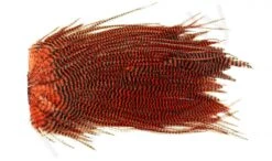 Metz Magnum Saddle #2 -Fishing Specialty Store Metz Magnum Saddle 2 METZ MG2 X dsc08722