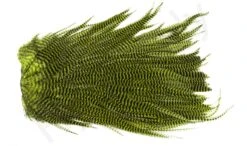 Metz Magnum Saddle #2 -Fishing Specialty Store Metz Magnum Saddle 2 METZ MG2 X dsc08723