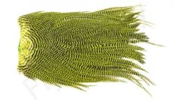 Metz Magnum Saddle #2 -Fishing Specialty Store Metz Magnum Saddle 2 METZ MG2 X dsc08727