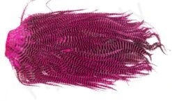 Metz Magnum Saddle #2 -Fishing Specialty Store Metz Magnum Saddle 2 METZ MG2 X dsc08728