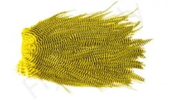 Metz Magnum Saddle #2 -Fishing Specialty Store Metz Magnum Saddle 2 METZ MG2 X dsc08730