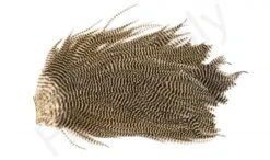 Metz Magnum Saddle #2 -Fishing Specialty Store Metz Magnum Saddle 2 METZ MG2 X dsc08731