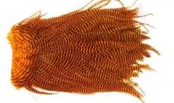 Metz Magnum Saddle #2 -Fishing Specialty Store Metz Magnum Saddle 2 METZ MG2 X dsc08732