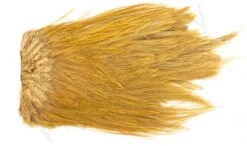 Metz Magnum Saddle #2 -Fishing Specialty Store Metz Magnum Saddle 2 METZ MG2 X dsc08733 bewerkt