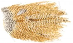 Metz Magnum Saddle #2 -Fishing Specialty Store Metz Magnum Saddle 2 METZ MG2 X dsc08739