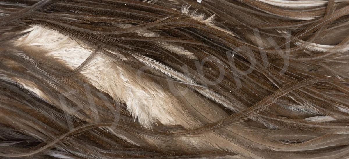 Metz Saddle Grade #3 Dry Fly & Streamer 13 Metz Saddle Grade #3 Dry Fly & Streamer - Image 11