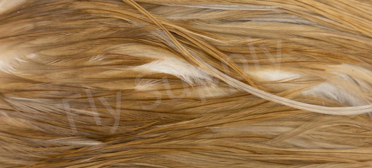 Metz Saddle Grade #3 Dry Fly & Streamer 21 Metz Saddle Grade #3 Dry Fly & Streamer - Image 19