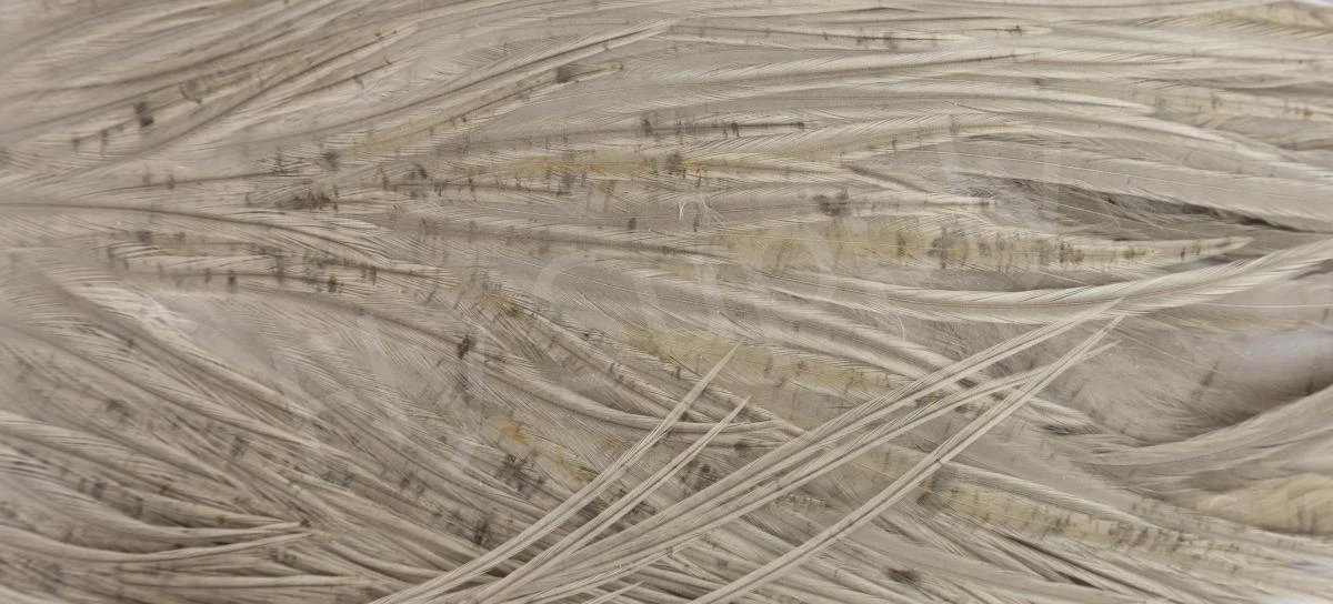 Metz Saddle Grade #3 Dry Fly & Streamer 17 Metz Saddle Grade #3 Dry Fly & Streamer - Image 15