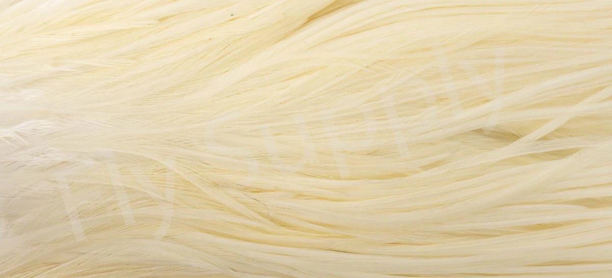 Metz Saddle Grade #3 Dry Fly & Streamer 5 Metz Saddle Grade #3 Dry Fly & Streamer - Image 3