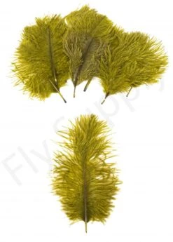 Mini Ostrich Marabou Plumes -Fishing Specialty Store Mini Ostrich Marabou plumes 40 83XXX dsc09499 bewerkt 1