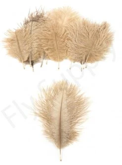 Mini Ostrich Marabou Plumes -Fishing Specialty Store Mini Ostrich Marabou plumes 40 83XXX dsc09502 bewerkt 1