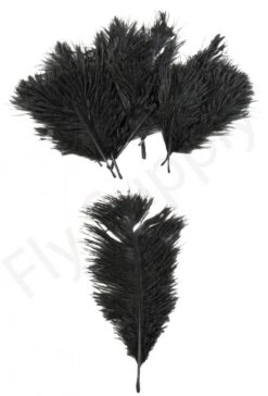 Mini Ostrich Marabou Plumes -Fishing Specialty Store Mini Ostrich Marabou plumes 40 83XXX dsc09504 bewerkt 1