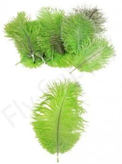 Mini Ostrich Marabou Plumes -Fishing Specialty Store Mini Ostrich Marabou plumes 40 83XXX dsc09507 bewerkt 1
