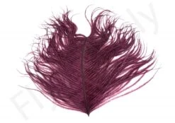 Premium Ostrich Herl Long Fibers -Fishing Specialty Store Ostrich Herl Long Fibers OH XXX dsc08763