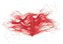 Premium Ostrich Herl Long Fibers -Fishing Specialty Store Ostrich Herl Long Fibers OH XXX dsc08765