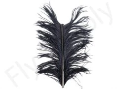 Premium Ostrich Herl Long Fibers -Fishing Specialty Store Ostrich Herl Long Fibers OH XXX dsc08767