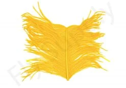 Premium Ostrich Herl Long Fibers -Fishing Specialty Store Ostrich Herl Long Fibers OH XXX dsc08776 bewerkt