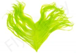 Premium Ostrich Herl Long Fibers -Fishing Specialty Store Ostrich Herl Long Fibers OH XXX dsc08779