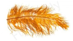 Ostrich Plumes Barred Large -Fishing Specialty Store Ostrich Plumes Barred Large FSTYING PLBLG X dsc08794