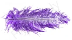 Ostrich Plumes Barred Large -Fishing Specialty Store Ostrich Plumes Barred Large FSTYING PLBLG X dsc08797