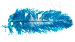 Ostrich Plumes Barred Large -Fishing Specialty Store Ostrich Plumes Barred Large FSTYING PLBLG X dsc08803