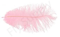 Ostrich Plumes Large -Fishing Specialty Store Ostrich plumes Large FSTYING PLLG X dsc08695 bewerkt
