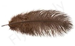 Ostrich Plumes Large -Fishing Specialty Store Ostrich plumes Large FSTYING PLLG X dsc08696 bewerkt